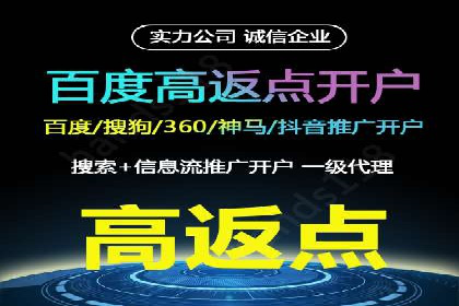 竞价广告的深度解析：以一知名品牌为例